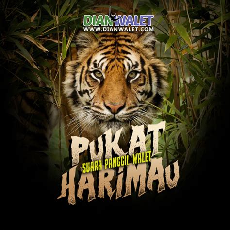 Suara Panggil (SP) Pukat Harimau | DIAN WALET