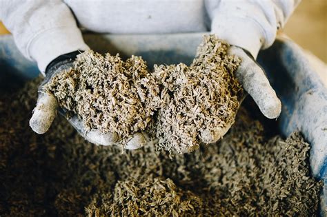 Hempcrete - An Eco-Friendly Building Material