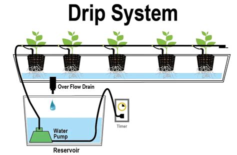 Best Hydroponic Drip System – Ultimate Guide {Updated 2021} – Small ...