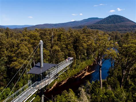 Tahune Adventures - The Huon Valley Southern Tasmania