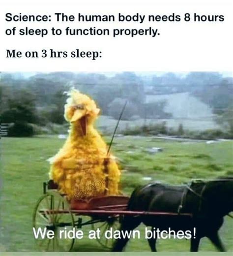 Sleep | We Ride At Dawn Bitches | Know Your Meme