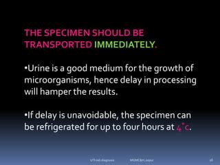 urinary tract infections-Lab diagnosis (e.coli, klebsilla, proteus, pseudomonas) | PPT