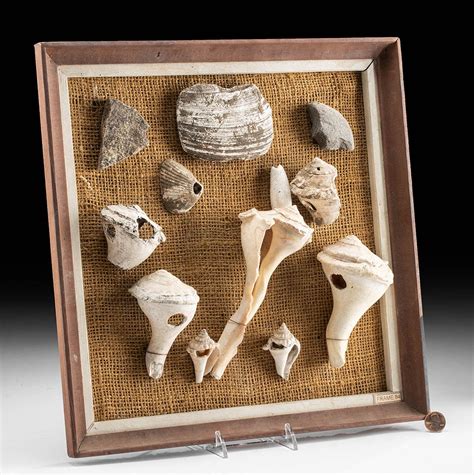 12 Native American Calusa Shell & Stone Artifacts sold at auction on ...