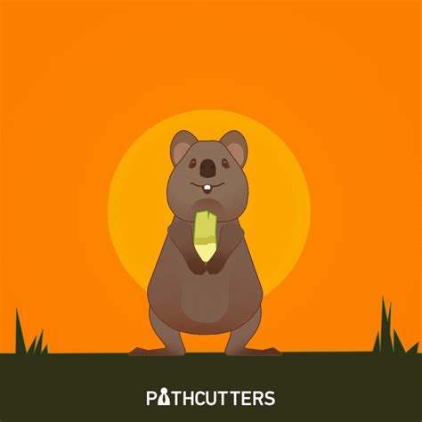 Quokka Animated Gif