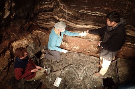 DNA from sediment reveals epic history of Denisova Cave