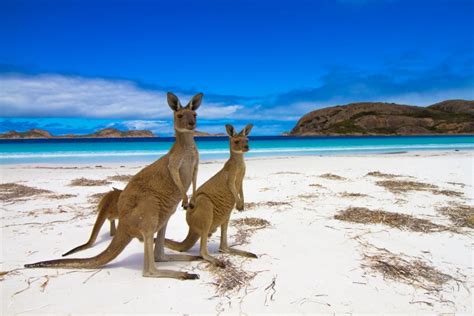 9 Amazing Places to Go This Summer in Australia | Celebrity Cruises