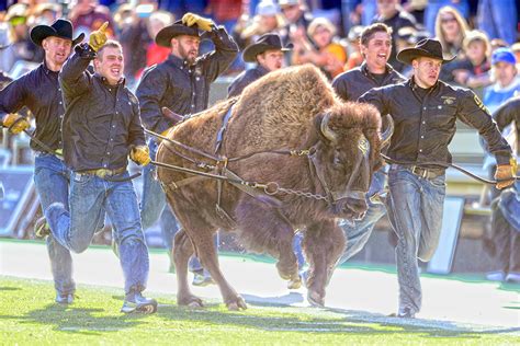 The Greatest Live Mascot in College Football Is CU's Ralphie the ...