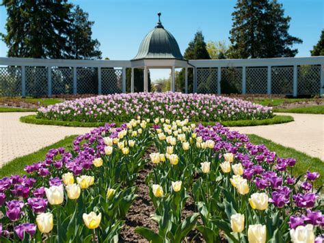 niagara-parks-botanical-gardens-tulips – GO GlobeHopper