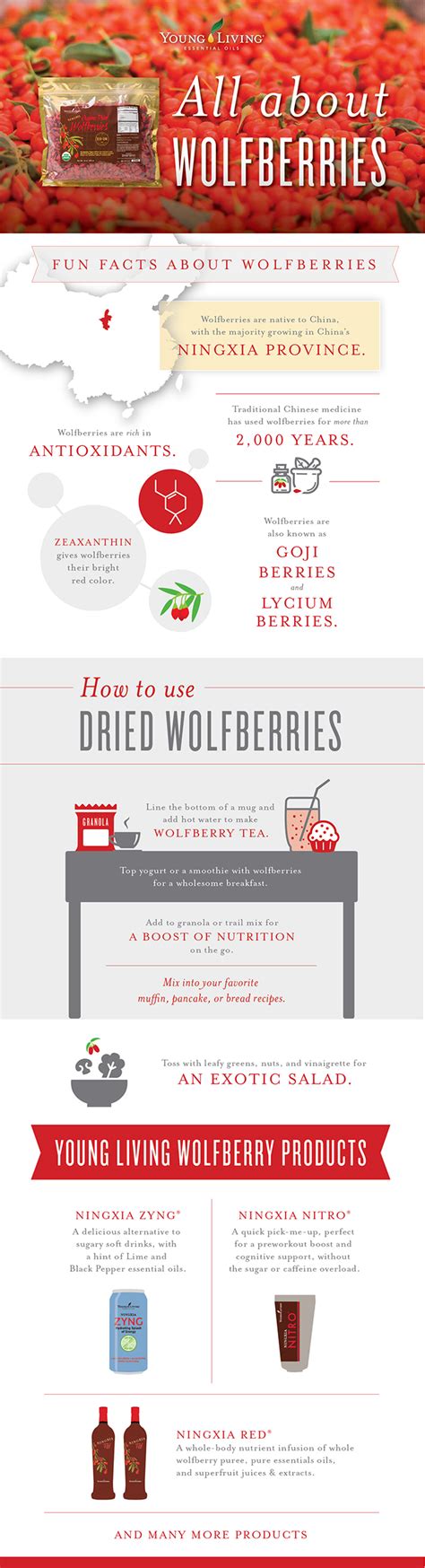 What's A Wolfberry And How Can I Use Wolfberries? - Young Living ...