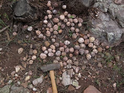 How To Find Geodes! The Ultimate Guide + (Fun Facts About Geodes ...