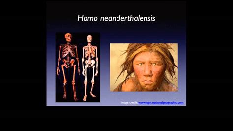 Teeth and Human Evolution - YouTube