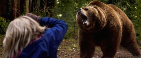 Into the Grizzly Maze movie review (2015) | Roger Ebert