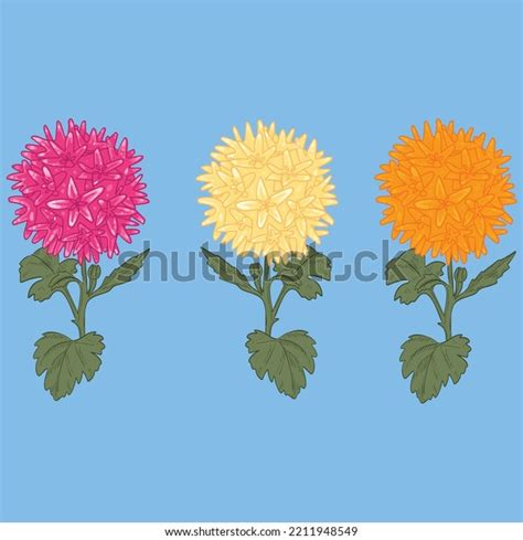 14 Pollination And Its Types Images, Stock Photos & Vectors | Shutterstock