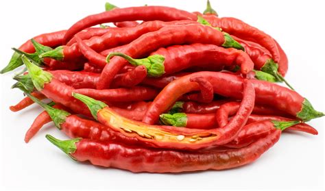 Red Cayenne Chile Peppers Information and Facts