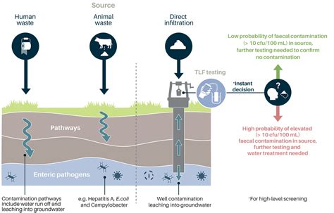 Fecal Contamination In Water Map