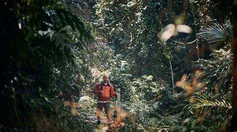 KL East Park, The Best New Hiking Spot In Malaysia