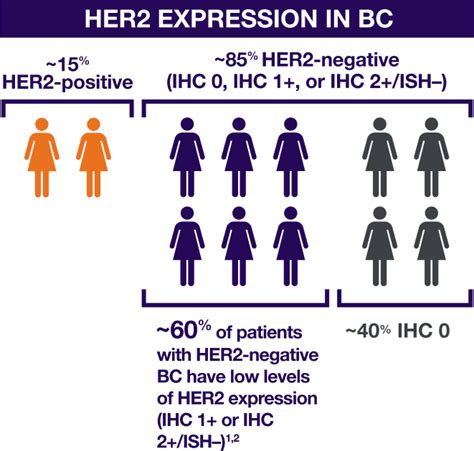 About HER2-low metastatic breast cancer