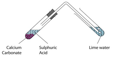 Metals and Acids - Assignment Point