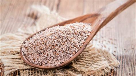 Top 5 Health Benefits of Psyllium Husk! | Keep Fit Kingdom