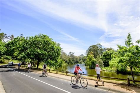 Parramatta Park | Walking and cycling