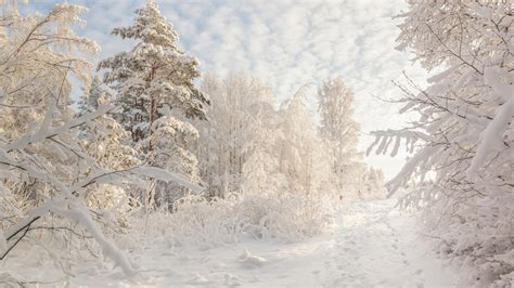 Beautiful snowy Russian winter (HD wallpapers) - VolGanga