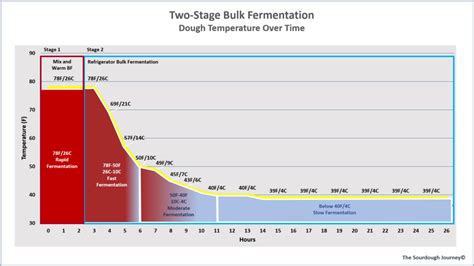 What is Two-Stage Bulk Fermentation? | The Sourdough Journey