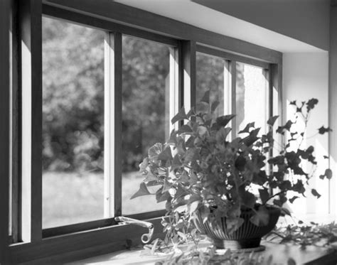 Royal Agricultural College library extension, Cirencester: window ...