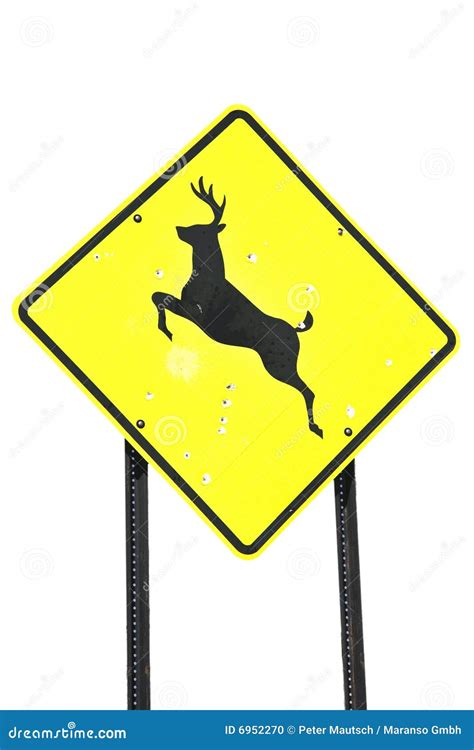 Road Sign Deer Crossing Stock Photo - Image: 6952270