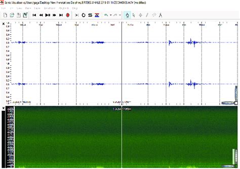 Time series and spectrogram representation of the inshore Brydes pulse... | Download Scientific ...