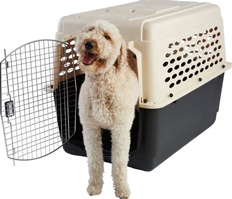 What Is The Best Travel Dog Crate