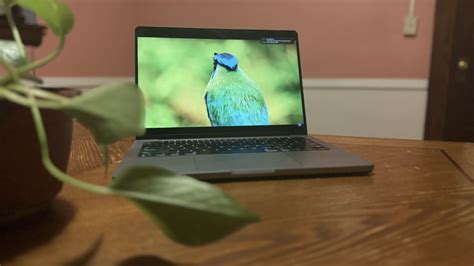 The Best Laptops For Battery Life, According To Our Expert Tests