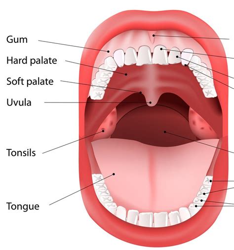 Pin on The Vocal Artists Way