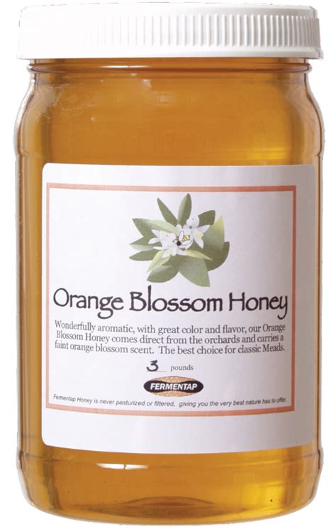 Orange Blossom Honey (3 lbs)