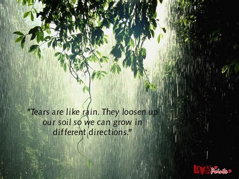 Rain Storm Quotes. QuotesGram