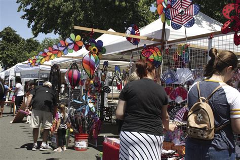 Lodi Chamber puts focus on safety at events after Gilroy tragedy | News ...