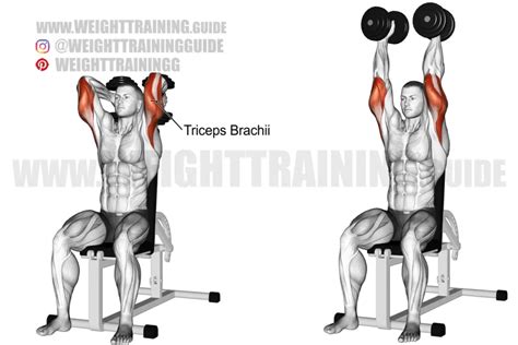 Seated two-arm overhead dumbbell triceps extension exercise instructions