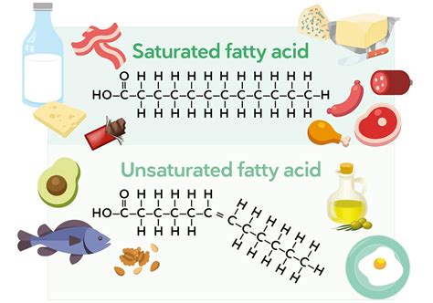 A user guide to saturated fat – Diet Doctor