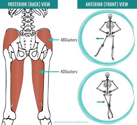 Neglecting your hip abductors can mess up your walk, sleep and balance