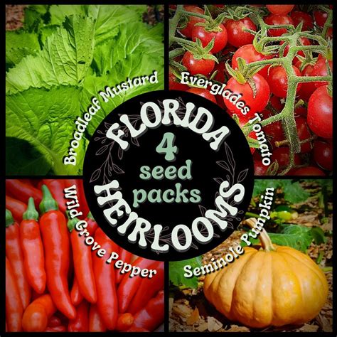 FLORIDA HEIRLOOM Seeds 4 Pack Seminole Pumpkin Seeds, Everglades Tomato Seeds, Florida Grove ...