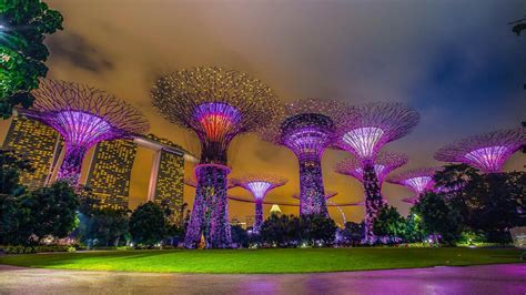 Guide to Gardens by the Bay Singapore | Marina Bay Sands