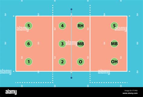 vector image of a volleyball court with positions of players Stock Vector Image & Art - Alamy