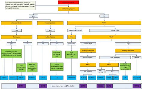 Diagnostic flowchart for microcytic anemias caused by inherited defects... | Download Scientific ...