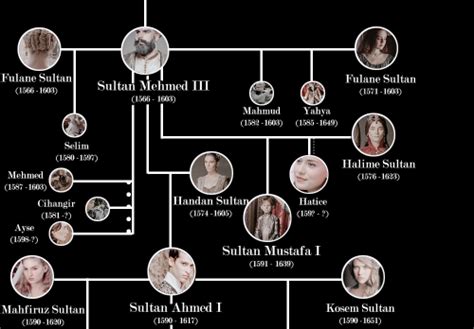 kosem-sultan: Osmans family tree for 15 - 17... - "To stand upon my kingdom once again."