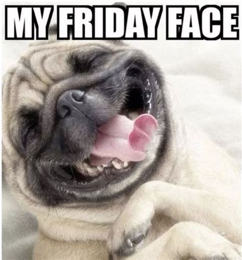 Kickstart Your Weekend With These Hilarious Friday Memes! | Funny ...