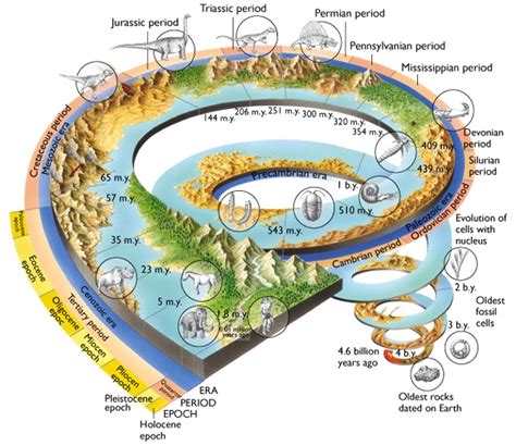 Timeline of life evolution on earth | Motivational Stories