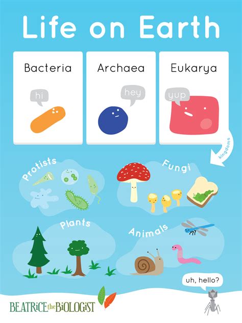 Life on Earth Poster - Beatrice the Biologist