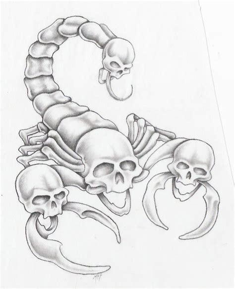 scorpion by markfellows on deviantART | Sketch tattoo design, Skulls ...