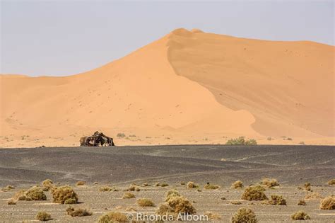 Bedouin Camp Visit in the Moroccan Sahara