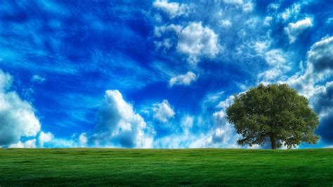 Clouds Trees Grass HD Wallpapers - Wallpaper Cave