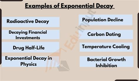 8 Examples of Exponential Decay in Mathematics